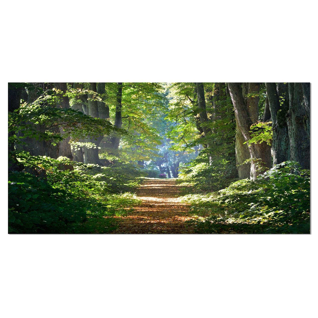 Designart - Bright Green Forest in Morning - Landscape Photography Canvas Print